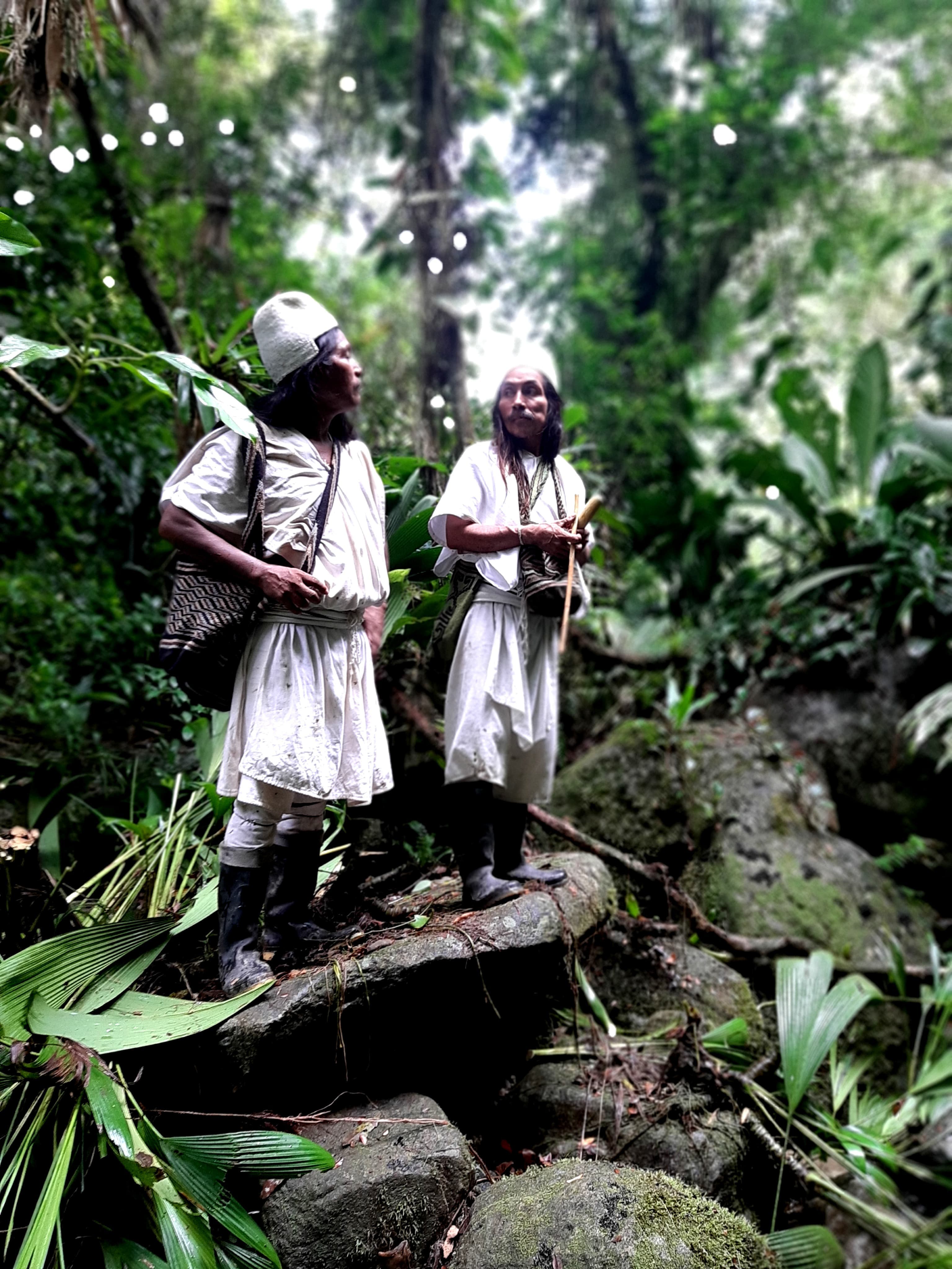 Two Arhuaco mamos standing on rocks in the Sierra Nevada cloud forest