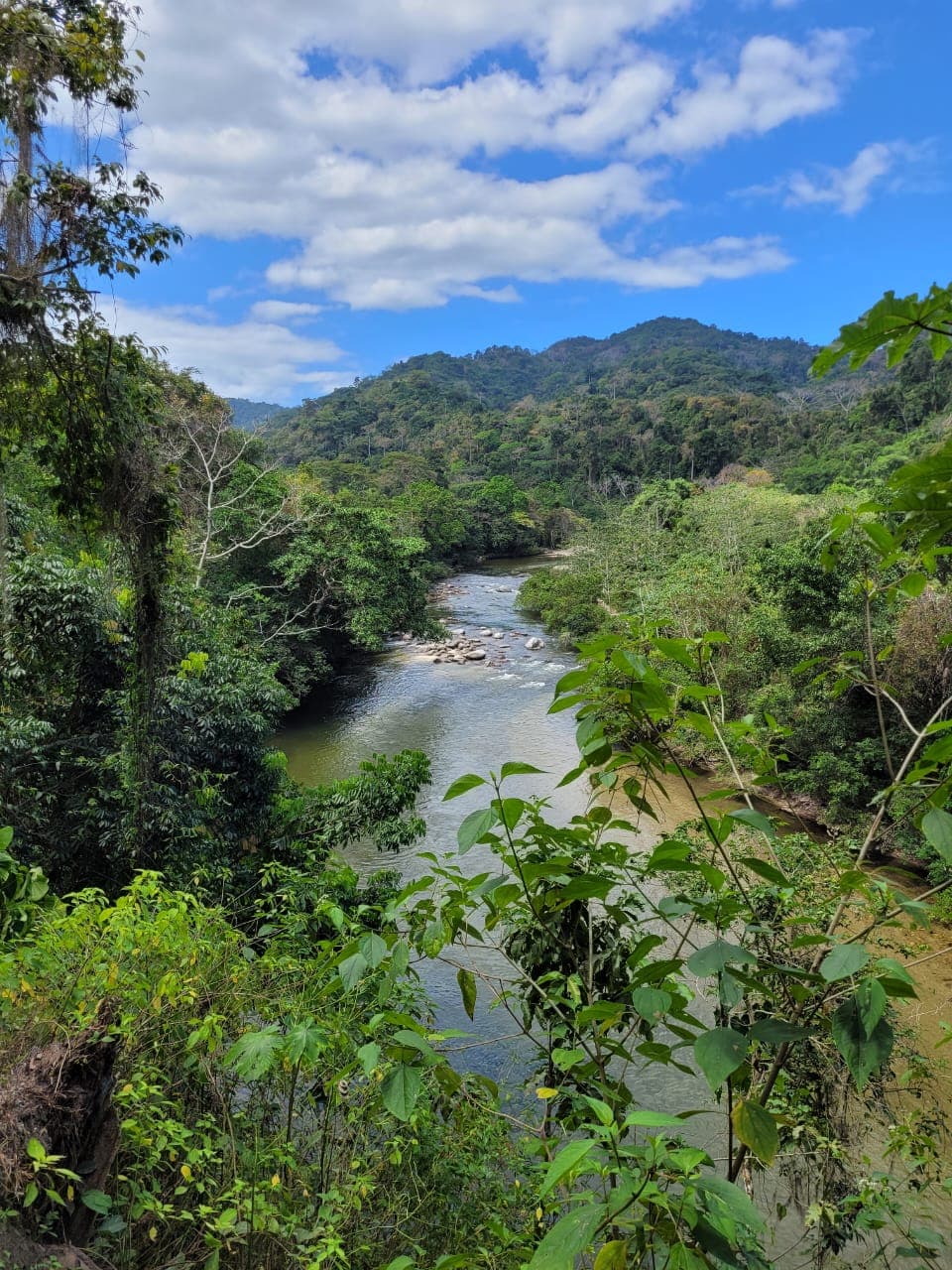 Lush valley of Río Palomino with sacred biodiversity
