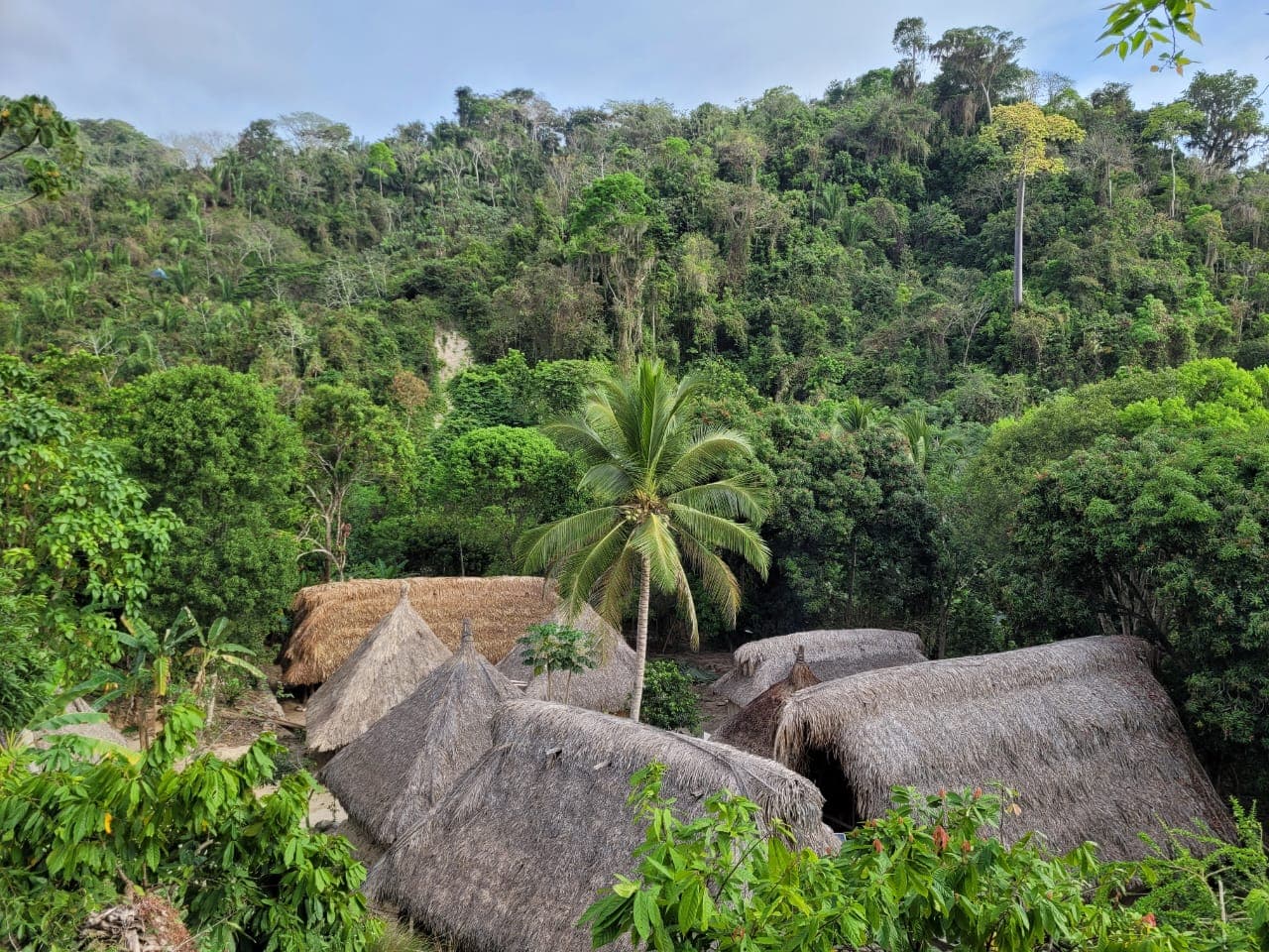Arhuaco village nestled in the Sierra Nevada cloud forest