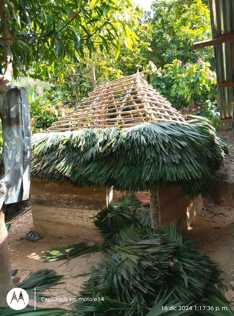 Workshop house under construction in the Sierra Nevada community
